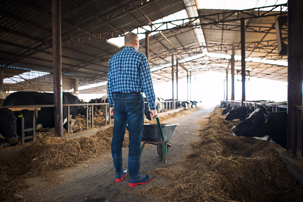 Cabos de aço impulsionam a transformação do agronegócio brasileiro, otimizando produtividade e segurança no campo.